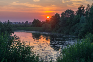 Similar image 5554476