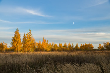 Similar image 5554477