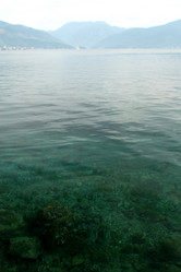 Similar image 5554488