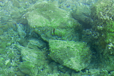 Similar image 5554499