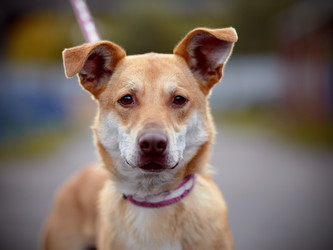 Similar image 5554579