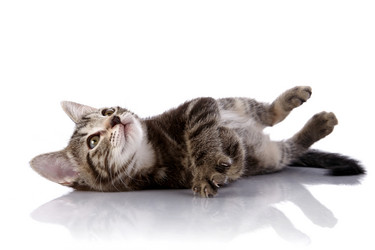 Similar image 5554582