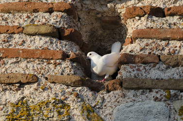 Similar image 5554720