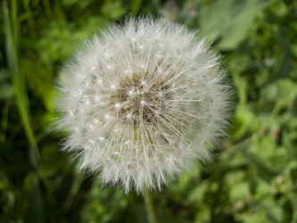 Similar image 5554727