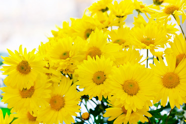 Similar image 5554767