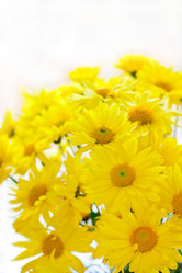 Similar image 5554769