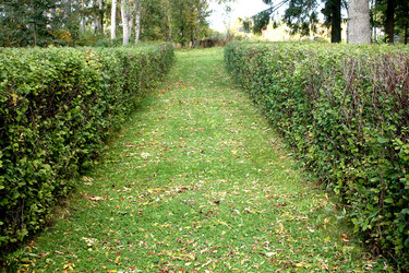 Similar image 5554784