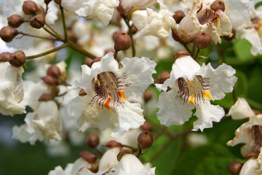 Similar image 5554861