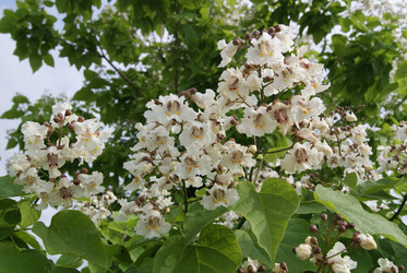 Similar image 5554862