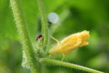 Similar image 5554864