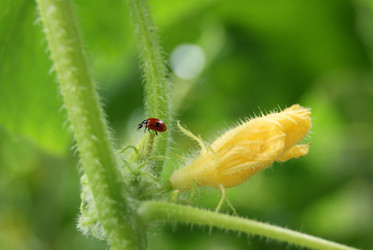 Similar image 5554865