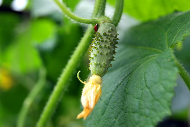 Similar image 5554866