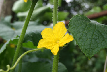 Similar image 5554867