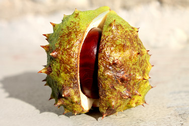 Similar image 5554881