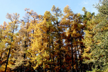 Similar image 5554886