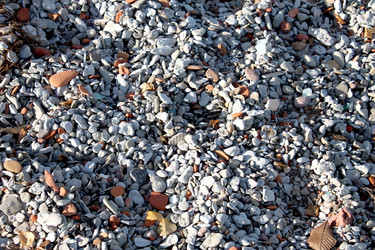 Similar image 5554888