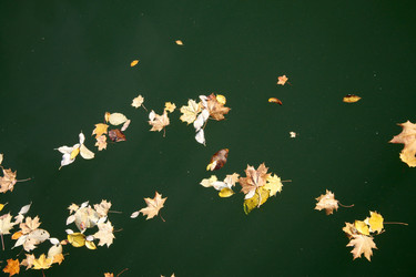 Similar image 5554917