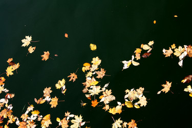 Similar image 5554918