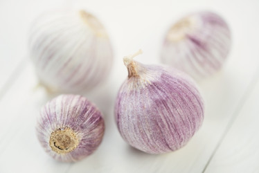 Similar image 5554943