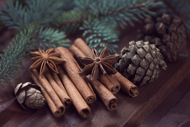 Similar image 5555041