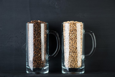 Similar image 5555055