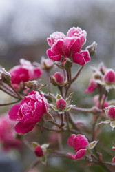 Similar image 5555077