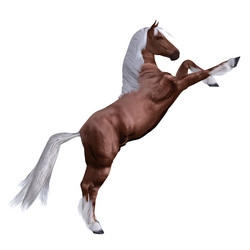 Similar image 5555393