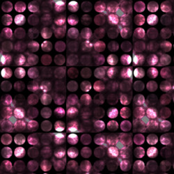 Similar image 5555454