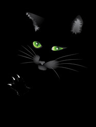 Similar image 5555497