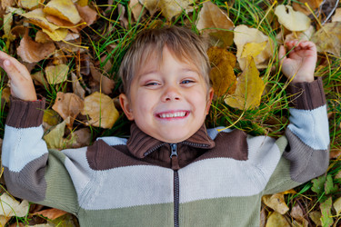 Similar image 5555505