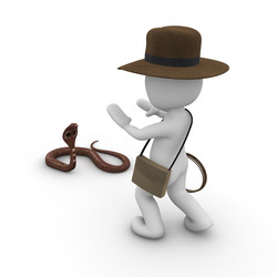 Similar image 5555623