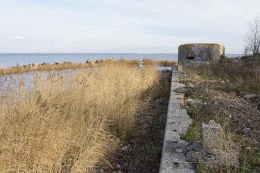 Similar image 5555720