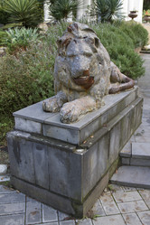 Similar image 5555729