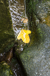 Similar image 5555738