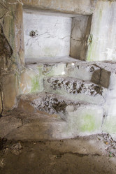 Similar image 5555743