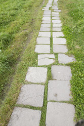 Similar image 5555769