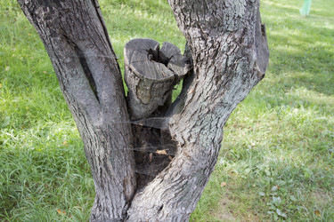 Similar image 5555804