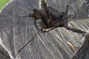 Similar image 5555806