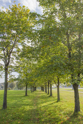 Similar image 5555814