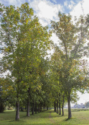 Similar image 5555832