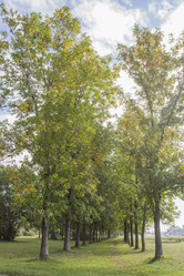 Similar image 5555833