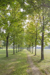 Similar image 5555834