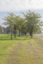 Similar image 5555837