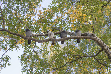 Similar image 5555848