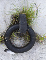 Similar image 5555880