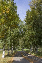 Similar image 5555886