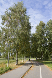 Similar image 5555887