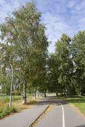 Similar image 5555888