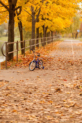 Similar image 5555891