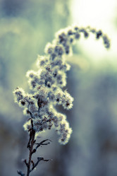 Similar image 5555899